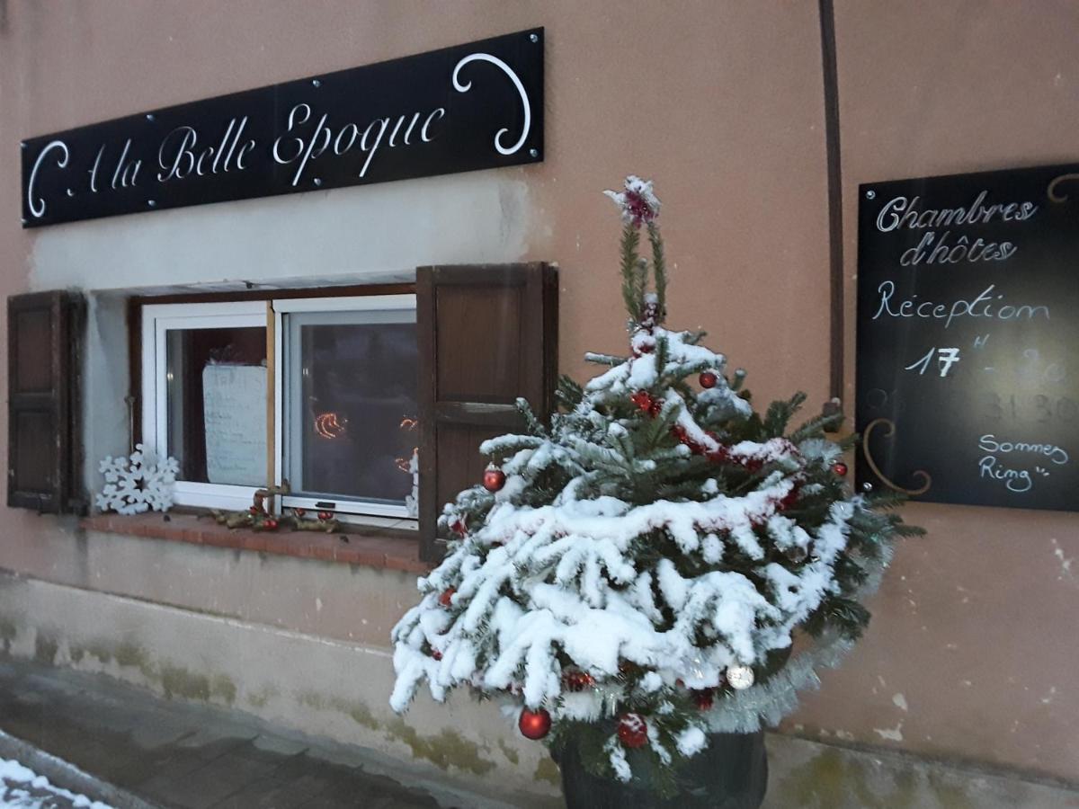 A La Belle Epoque Bed & Breakfast Valdeblore Dış mekan fotoğraf