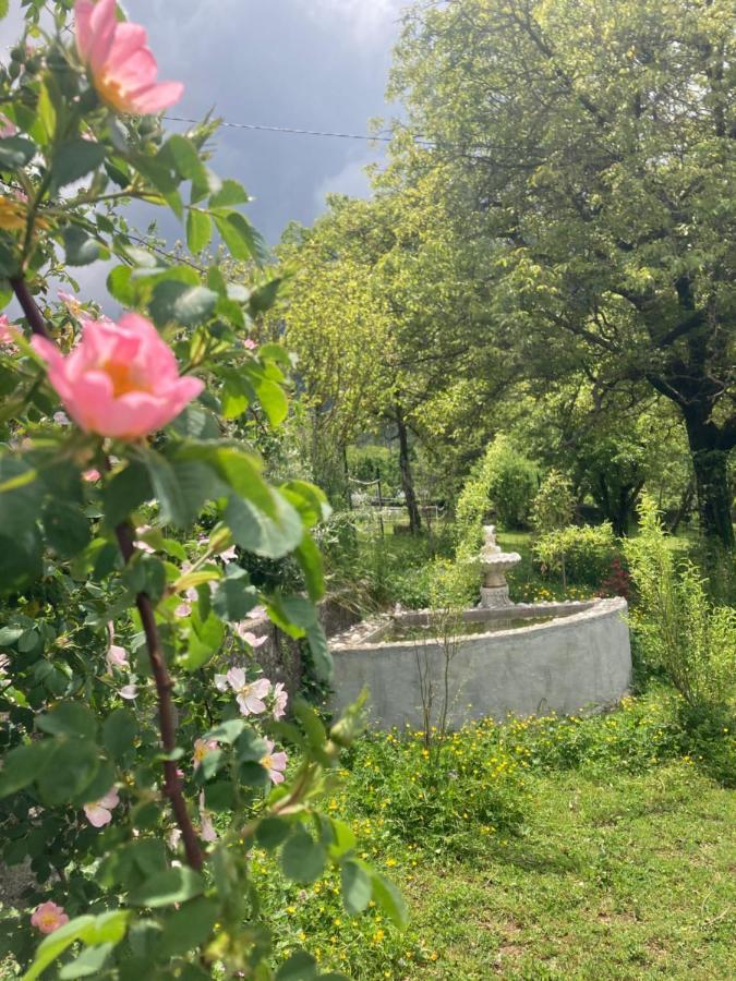 A La Belle Epoque Bed & Breakfast Valdeblore Dış mekan fotoğraf