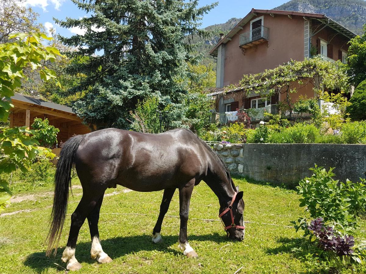 A La Belle Epoque Bed & Breakfast Valdeblore Dış mekan fotoğraf