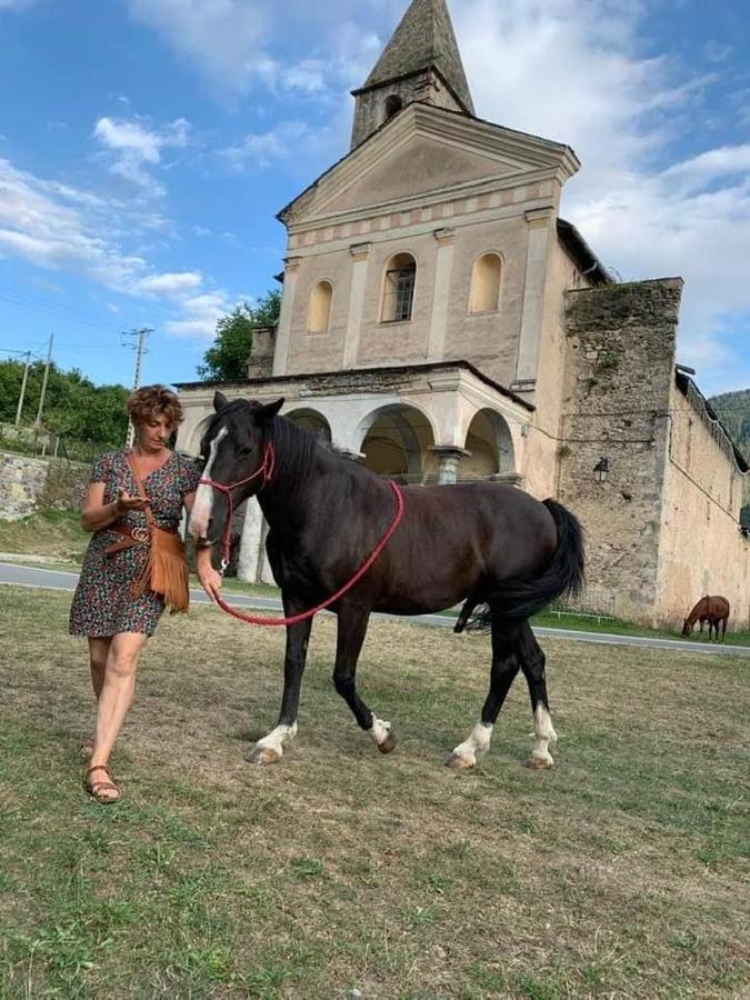 A La Belle Epoque Bed & Breakfast Valdeblore Dış mekan fotoğraf