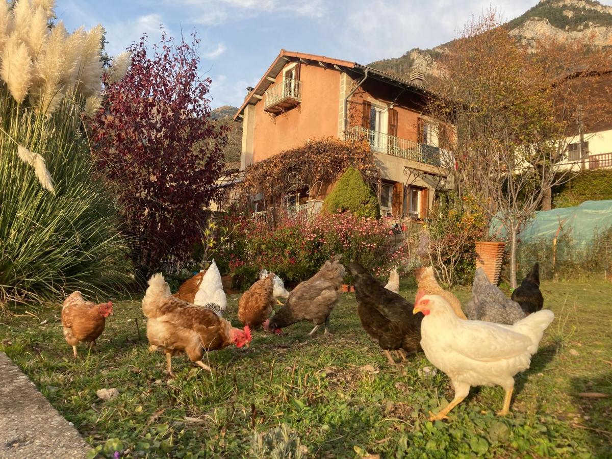 A La Belle Epoque Bed & Breakfast Valdeblore Dış mekan fotoğraf