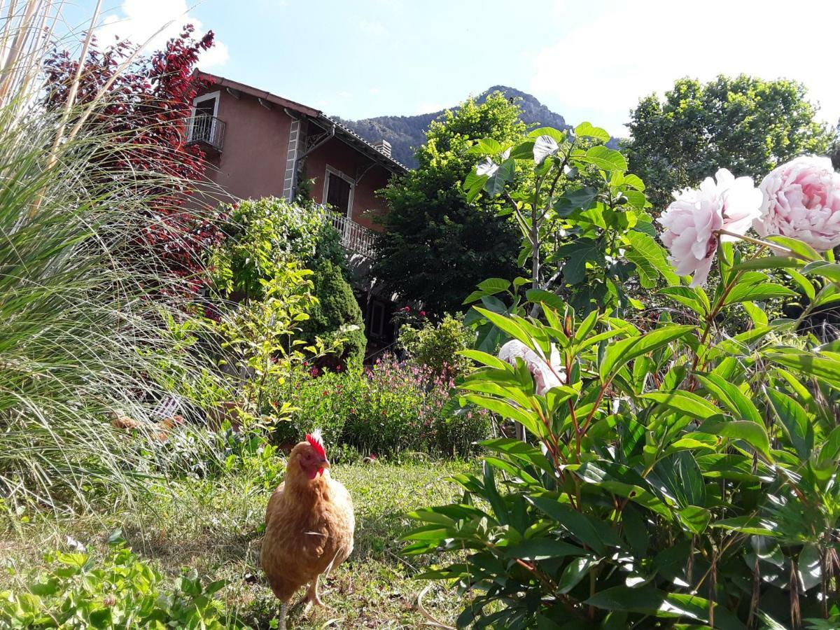 A La Belle Epoque Bed & Breakfast Valdeblore Dış mekan fotoğraf